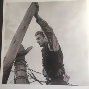 James Dean Leaning On Fence Pic. By Frank Worth